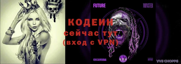 дмт Шадринск