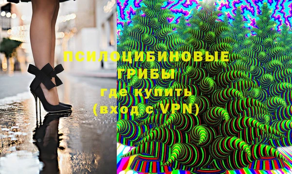 дмт Шадринск