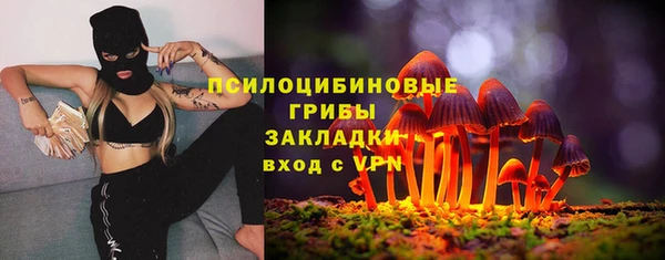 метадон Шали