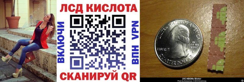 купить наркотики сайты  Петропавловск-Камчатский  Наркотические марки 1,8мг 