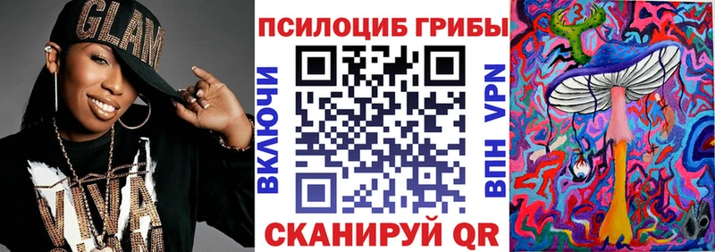 как найти наркотики  Петропавловск-Камчатский  ссылка на мегу рабочий сайт  Псилоцибиновые грибы мицелий 