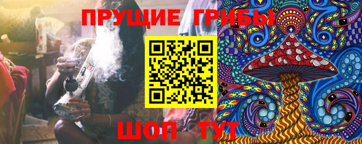 Псилоцибиновые грибы MAGIC MUSHROOMS Петропавловск-Камчатский