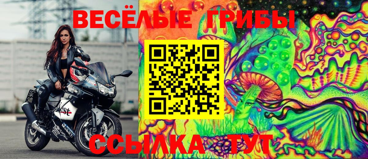 Петропавловск-Камчатский  Галлюциногенные грибы мицелий  Псилоцибиновые грибы Psilocybine cubensis  Вход с VPN 