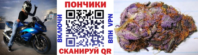 Конопля индика  купить наркотики сайты  Петропавловск-Камчатский 